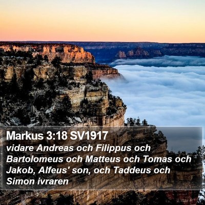 Markus 3:18 SV1917 Bible Verse Image