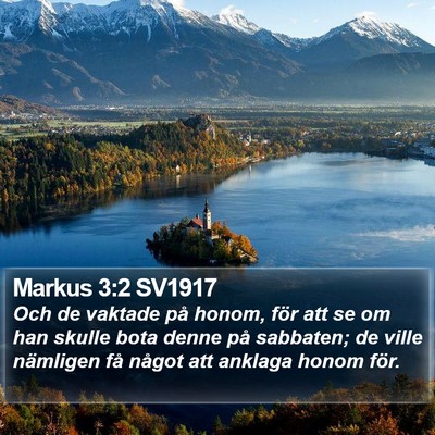 Markus 3:2 SV1917 Bible Verse Image