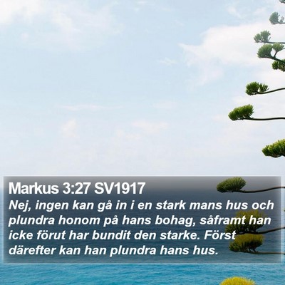 Markus 3:27 SV1917 Bible Verse Image