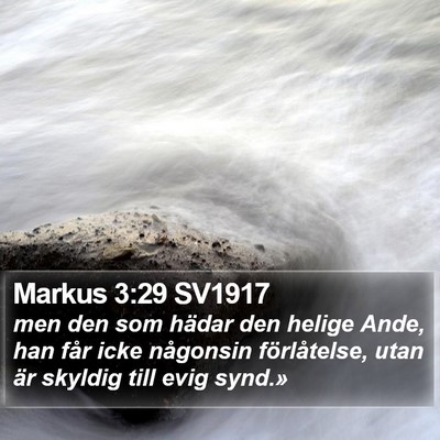 Markus 3:29 SV1917 Bible Verse Image
