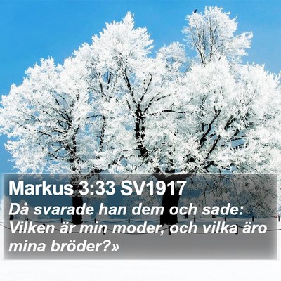 Markus 3:33 SV1917 Bible Verse Image