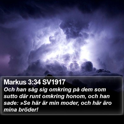 Markus 3:34 SV1917 Bible Verse Image