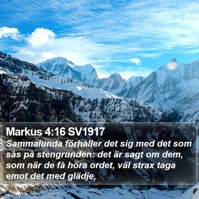 Markus 4:16 SV1917 Bible Verse Image