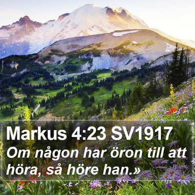Markus 4:23 SV1917 Bible Verse Image