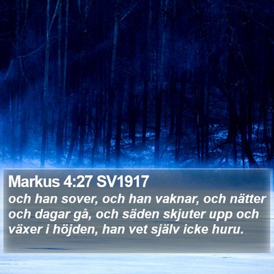 Markus 4:27 SV1917 Bible Verse Image