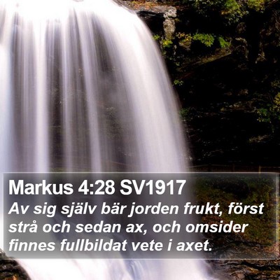 Markus 4:28 SV1917 Bible Verse Image