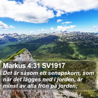 Markus 4:31 SV1917 Bible Verse Image