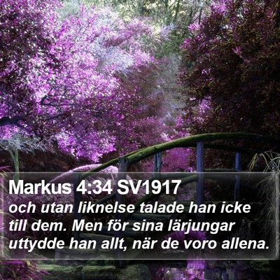 Markus 4:34 SV1917 Bible Verse Image