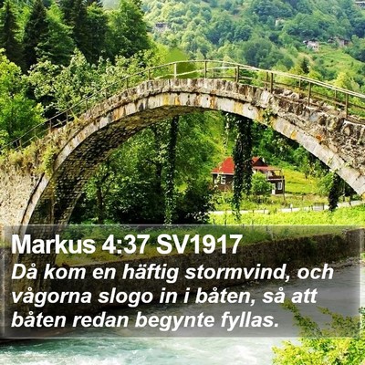 Markus 4:37 SV1917 Bible Verse Image