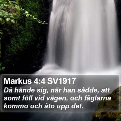 Markus 4:4 SV1917 Bible Verse Image
