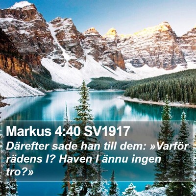 Markus 4:40 SV1917 Bible Verse Image