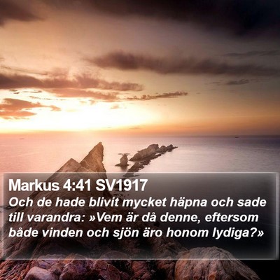 Markus 4:41 SV1917 Bible Verse Image