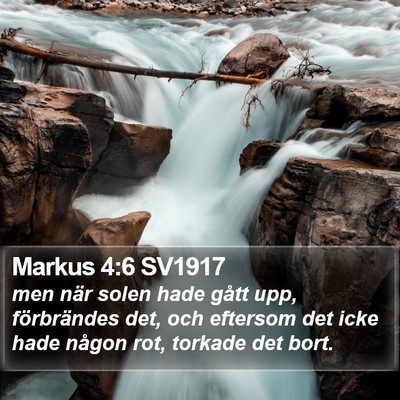 Markus 4:6 SV1917 Bible Verse Image