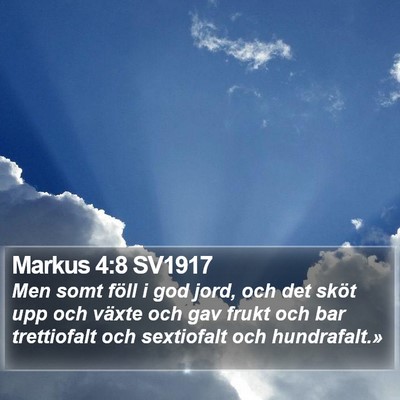 Markus 4:8 SV1917 Bible Verse Image