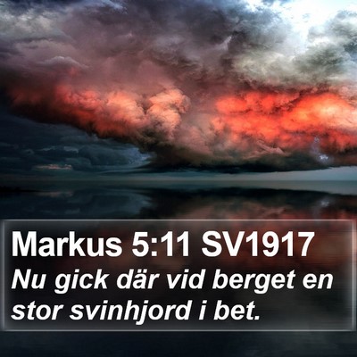 Markus 5:11 SV1917 Bible Verse Image