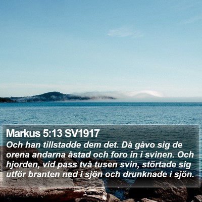 Markus 5:13 SV1917 Bible Verse Image