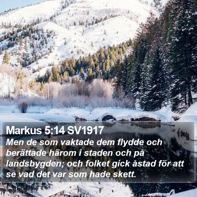 Markus 5:14 SV1917 Bible Verse Image
