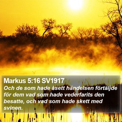 Markus 5:16 SV1917 Bible Verse Image