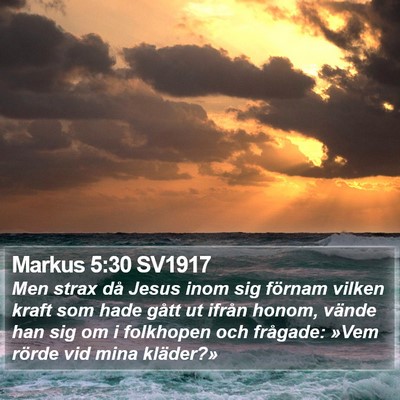 Markus 5:30 SV1917 Bible Verse Image