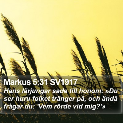 Markus 5:31 SV1917 Bible Verse Image
