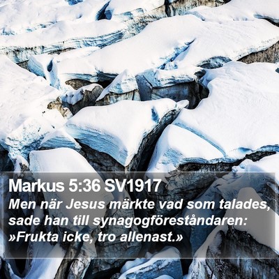 Markus 5:36 SV1917 Bible Verse Image