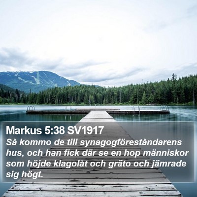 Markus 5:38 SV1917 Bible Verse Image