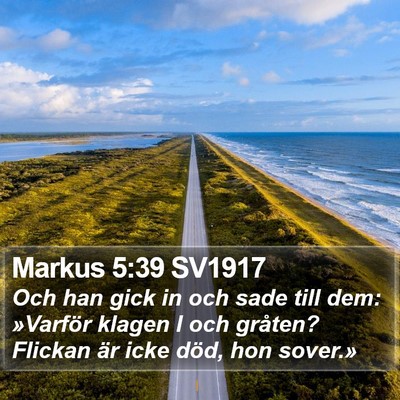 Markus 5:39 SV1917 Bible Verse Image