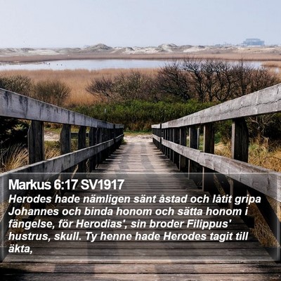 Markus 6:17 SV1917 Bible Verse Image