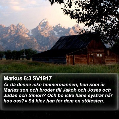 Markus 6:3 SV1917 Bible Verse Image