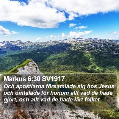 Markus 6:30 SV1917 Bible Verse Image