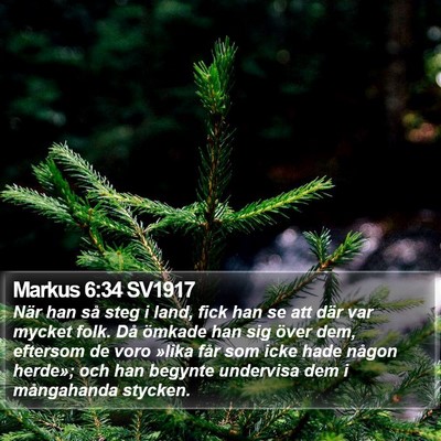 Markus 6:34 SV1917 Bible Verse Image