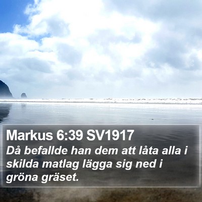 Markus 6:39 SV1917 Bible Verse Image
