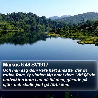 Markus 6:48 SV1917 Bible Verse Image