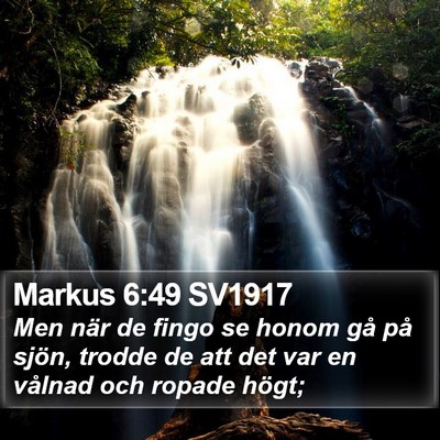 Markus 6:49 SV1917 Bible Verse Image