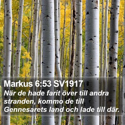 Markus 6:53 SV1917 Bible Verse Image