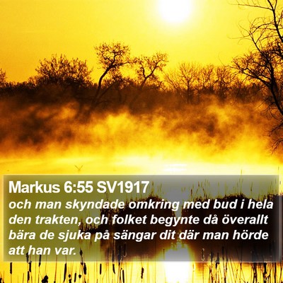 Markus 6:55 SV1917 Bible Verse Image