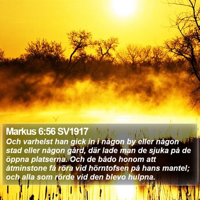 Markus 6:56 SV1917 Bible Verse Image