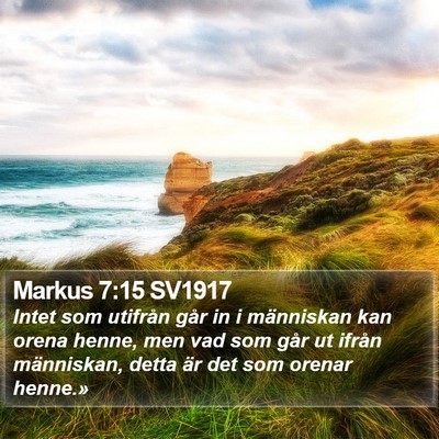 Markus 7:15 SV1917 Bible Verse Image
