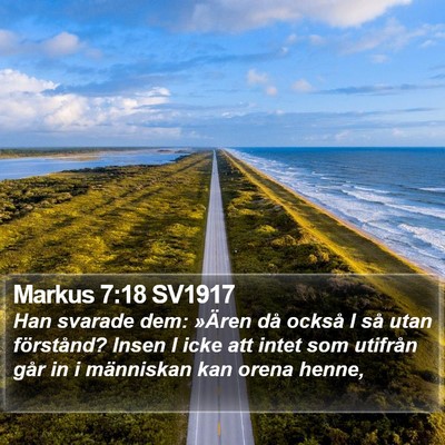 Markus 7:18 SV1917 Bible Verse Image