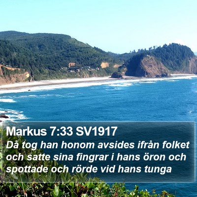 Markus 7:33 SV1917 Bible Verse Image