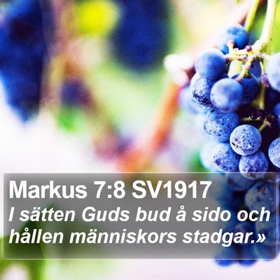 Markus 7:8 SV1917 Bible Verse Image