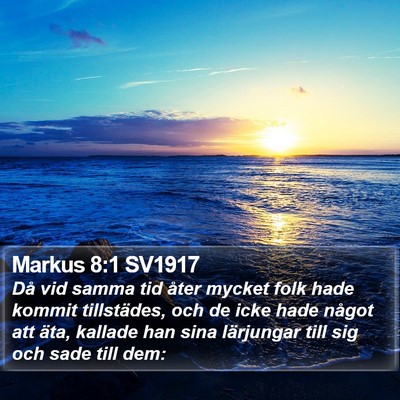 Markus 8:1 SV1917 Bible Verse Image