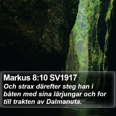 Markus 8:10 SV1917 Bible Verse Image