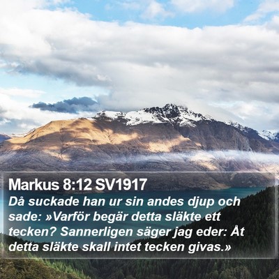 Markus 8:12 SV1917 Bible Verse Image