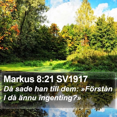 Markus 8:21 SV1917 Bible Verse Image