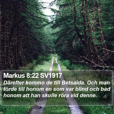 Markus 8:22 SV1917 Bible Verse Image