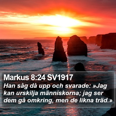 Markus 8:24 SV1917 Bible Verse Image