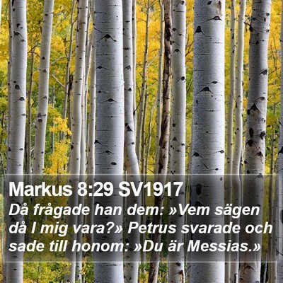 Markus 8:29 SV1917 Bible Verse Image