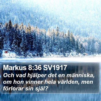 Markus 8:36 SV1917 Bible Verse Image
