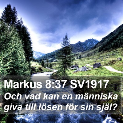 Markus 8:37 SV1917 Bible Verse Image